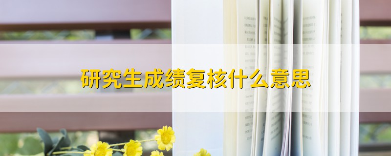 研究生成绩复核什么意思