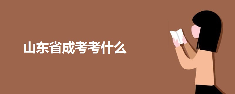 山东省成考考什么